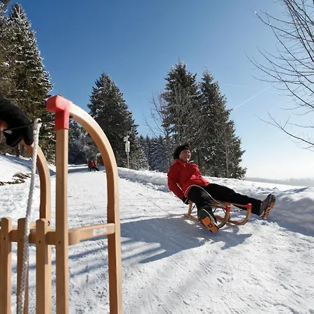 Drei Tannen - 09 - Apartmenthaus, Titisee, Feldberg Apartman *