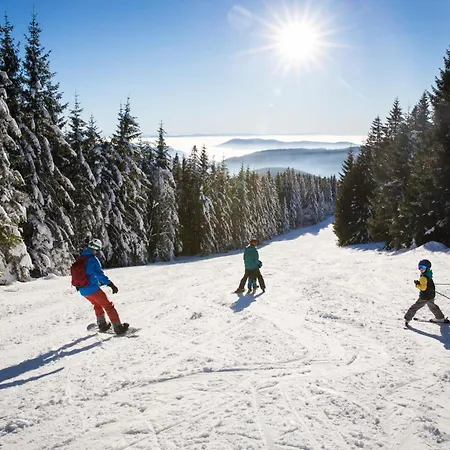 Drei Tannen - 09 - Apartmenthaus, Titisee, Feldberg *