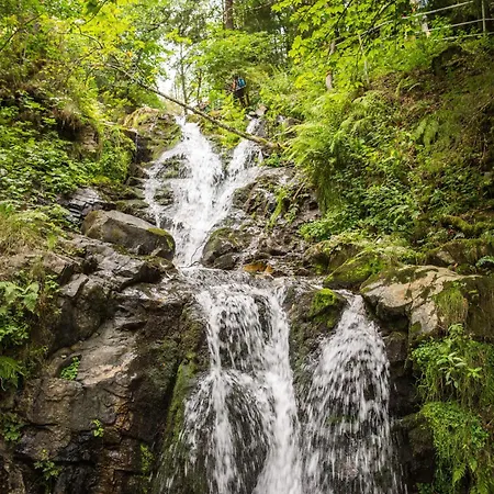 Apartman Drei Tannen - 09 - Apartmenthaus, Titisee, Feldberg