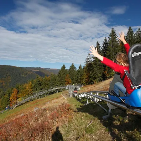 Drei Tannen - 09 - Apartmenthaus, Titisee, Feldberg Apartman *