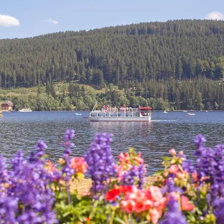 Διαμέρισμα Drei Tannen - 09 - Apartmenthaus, Titisee, Feldberg *