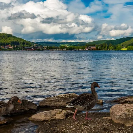 Drei Tannen - 09 - Apartmenthaus, Titisee, Feldberg Διαμέρισμα