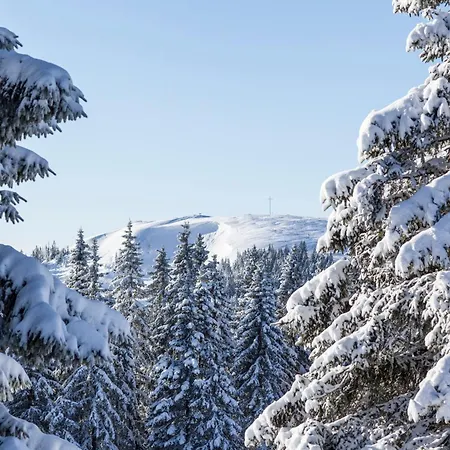 Apartman Drei Tannen - 09 - Apartmenthaus, Titisee, Feldberg *