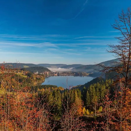 Drei Tannen - 09 - Apartmenthaus, Titisee, Feldberg Διαμέρισμα Titisee-Neustadt