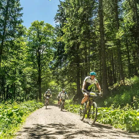 Drei Tannen - 09 - Apartmenthaus, Titisee, Feldberg * Titisee-Neustadt