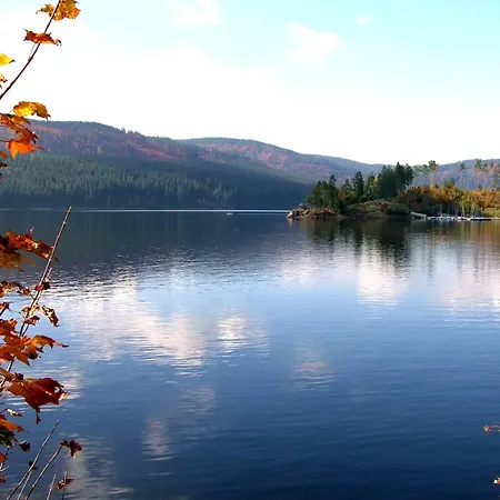 Drei Tannen - 09 - Apartmenthaus, Titisee, Feldberg Διαμέρισμα *