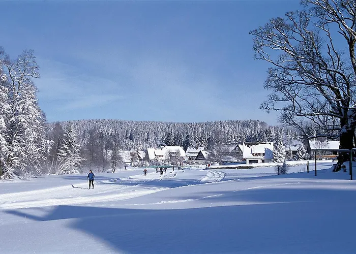 Drei Tannen - 09 - Apartmenthaus, Titisee, Feldberg Apartamento *