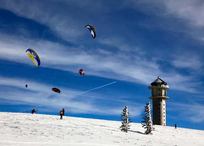 Drei Tannen - 09 - Apartmenthaus, Titisee, Feldberg Apartamento Titisee-Neustadt