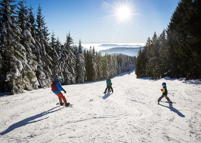 Drei Tannen - 09 - Apartmenthaus, Titisee, Feldberg *