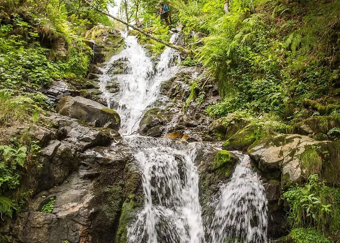 Apartamento Drei Tannen - 09 - Apartmenthaus, Titisee, Feldberg