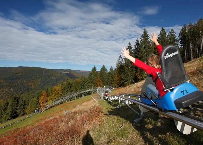 Drei Tannen - 09 - Apartmenthaus, Titisee, Feldberg Apartamento *