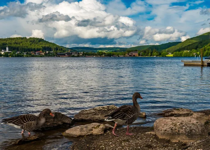 Drei Tannen - 09 - Apartmenthaus, Titisee, Feldberg Apartamento