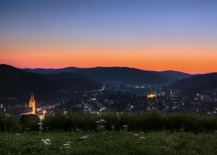 Apartamento Drei Tannen - 09 - Apartmenthaus, Titisee, Feldberg