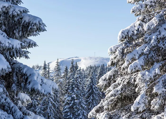 Apartamento Drei Tannen - 09 - Apartmenthaus, Titisee, Feldberg *