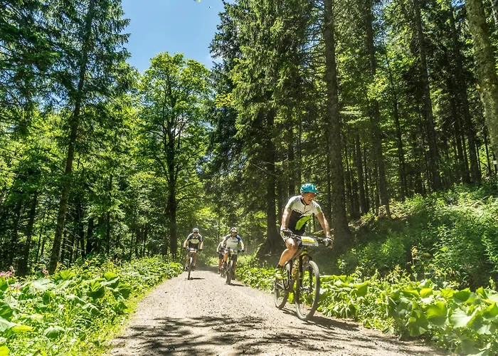 Drei Tannen - 09 - Apartmenthaus, Titisee, Feldberg * Titisee-Neustadt